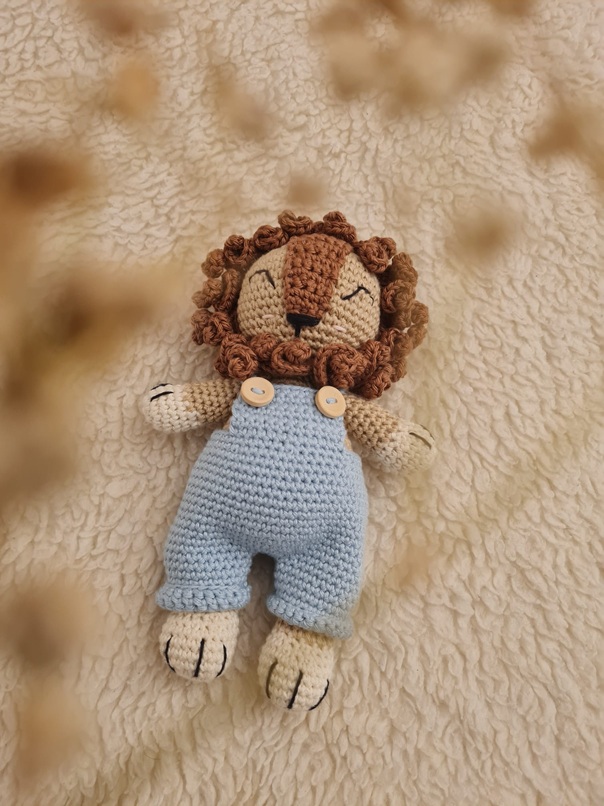 Pack León - Imagen 5